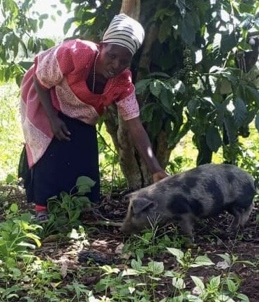 Pigs for Prosperity: Empower 40 Widows and Orphans