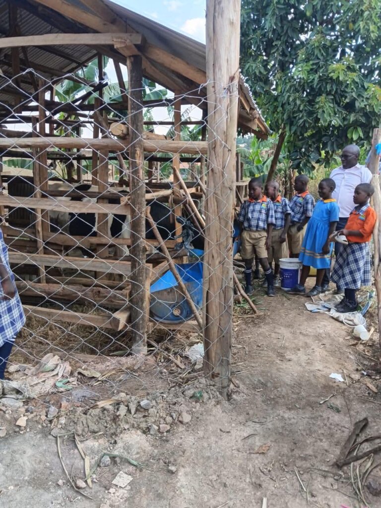 Shelter & Kids