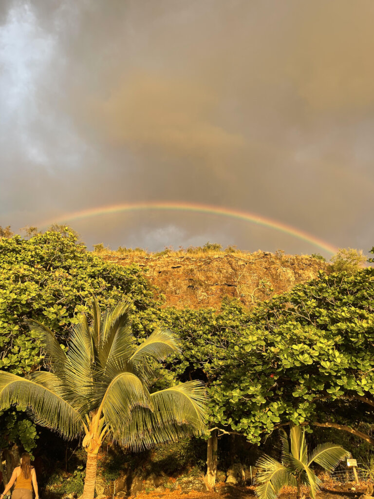 Clean 1million Pounds of Disaster Debris in Hawaii