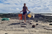 Clean 1million Pounds of Disaster Debris in Hawaii