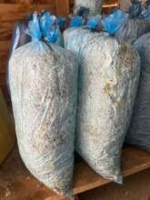 Ready-made mushroom grow kits