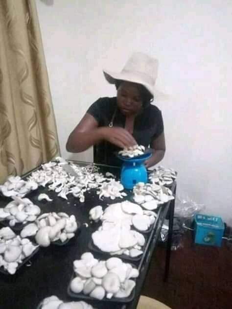 Improving Livelihoods through Mushrooms Project