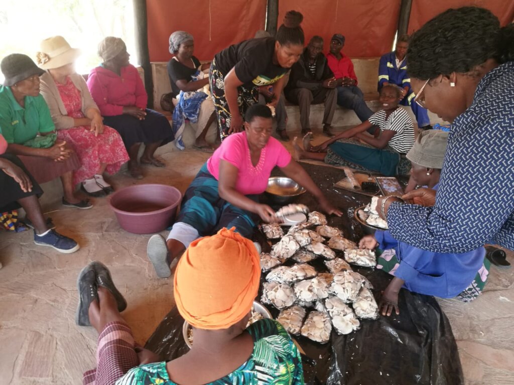 Improving Livelihoods through Mushrooms Project