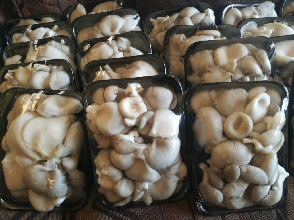 Improving Livelihoods through Mushrooms Project