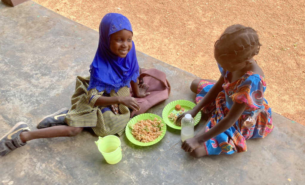 Emergency response to malaria and food shortages