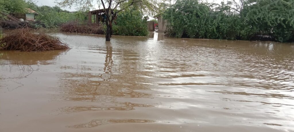 Flood Relief Response Sindh Pakistan