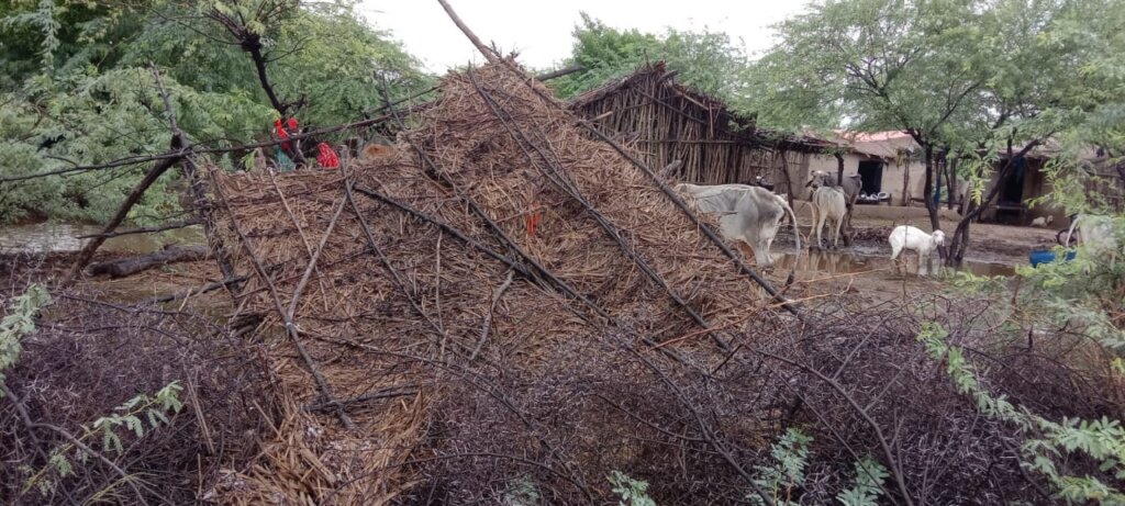 Flood Relief Response Sindh Pakistan