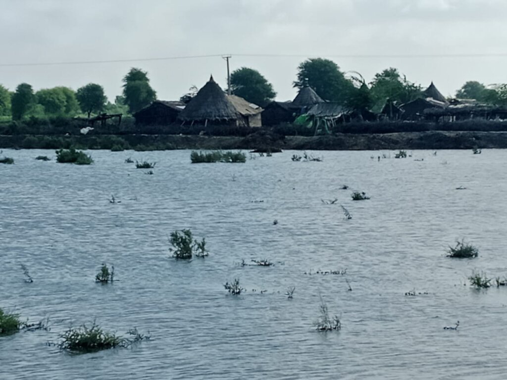 Flood Relief Response Sindh Pakistan