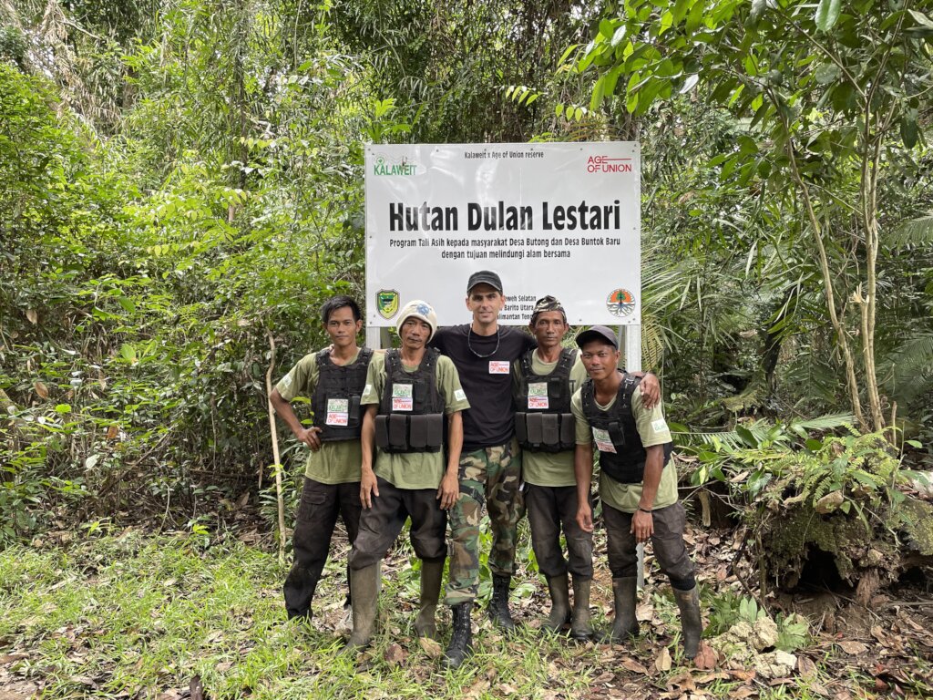 Help us to save the forest of orangutans !