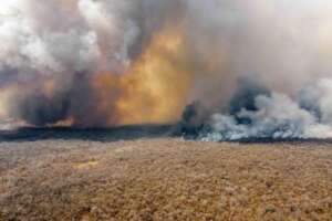 Bolivian landscape after a fire