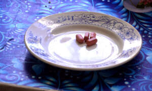 TB Drugs on Plate