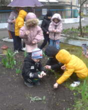 Children Plant Seeds
