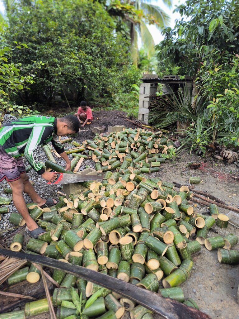 Seeding Change: Resilience through Agroforestry