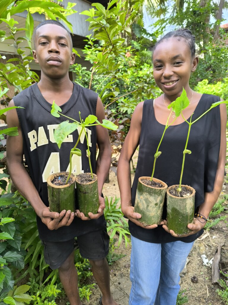 Seeding Change: Resilience through Agroforestry