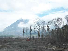 20 kilometers there are no more houses and trees