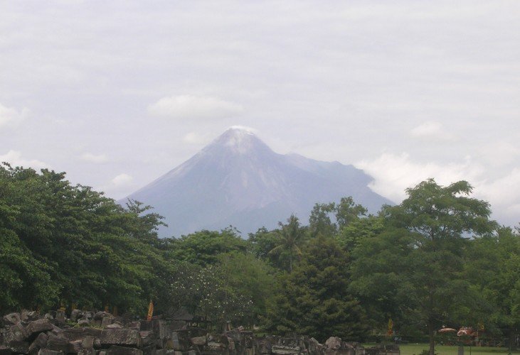 Relief for Natural Disaster Victims In Indonesia