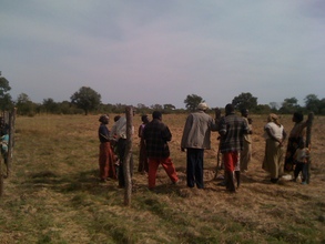 Stepping back and watching the community work