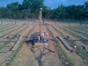 The experimental plot