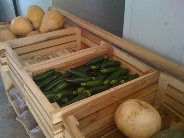 Our squash for sale in Livingstone