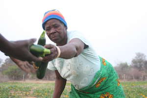 Clean water, thriving gardens: Zambian Abundance!