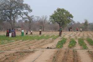 Sibunimba Village garden