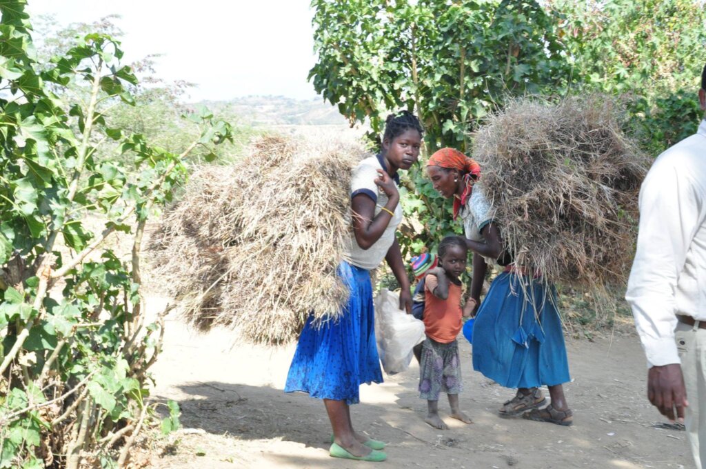 MHO Director withRehabilited o beneficiarie