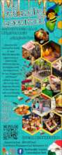 Poster in English