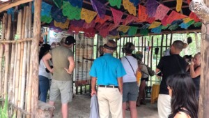 Station for Bee Instruction