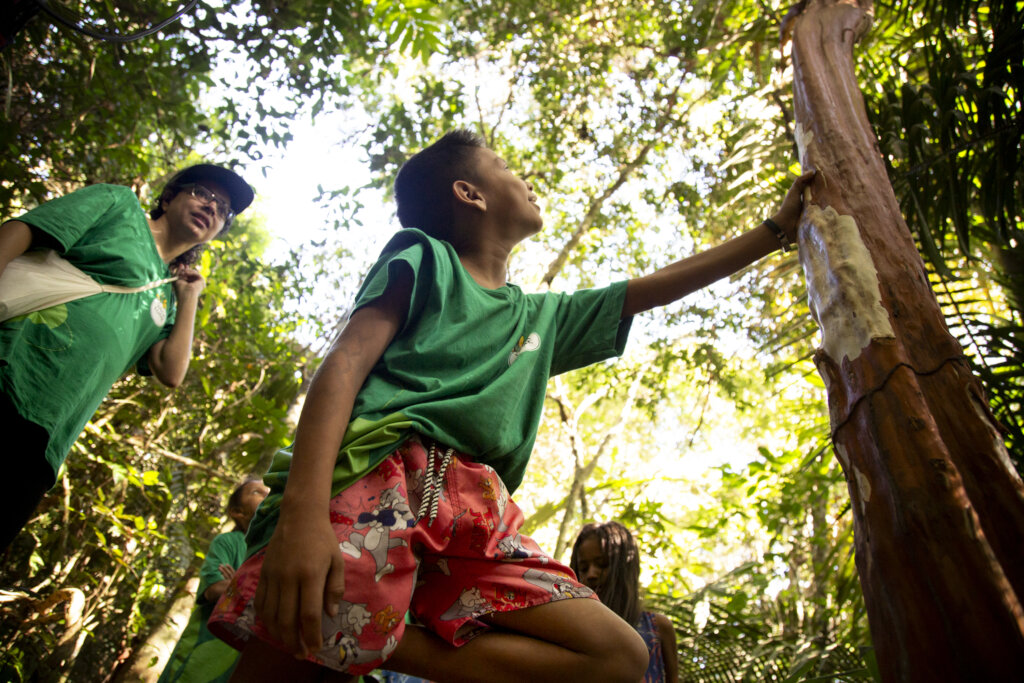 Help Vaga Lume protect the Amazon