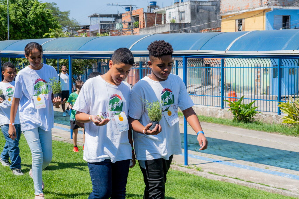 Help Vaga Lume protect the Amazon