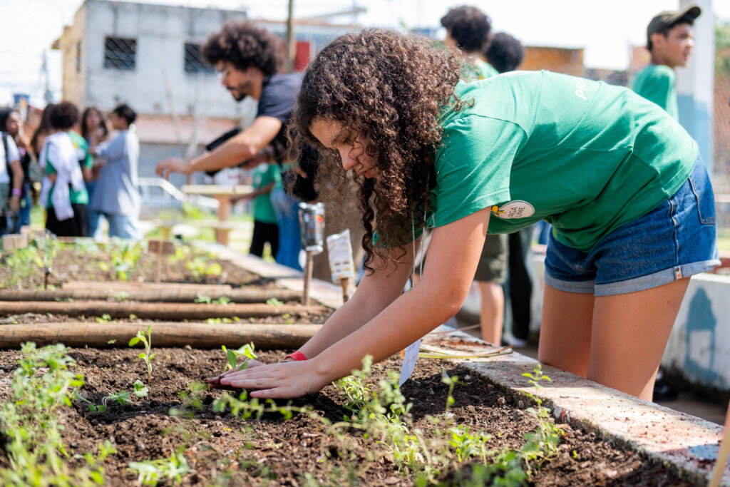 Help Vaga Lume protect the Amazon
