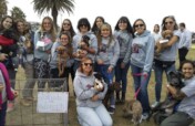 Spaying Campaign-Uruguay Dogs Overpopulation