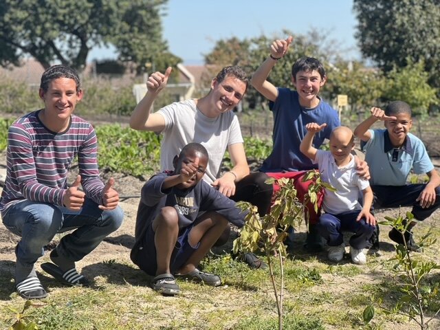 Community Vegetable Garden