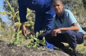 Community Vegetable Garden