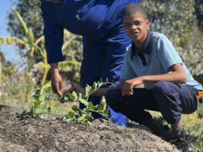 Community Vegetable Garden