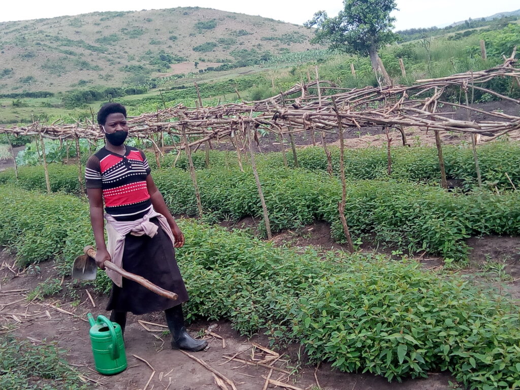 CREATE DOMESTIC LIVELIHOOD ASSETS FOR REFUGEES