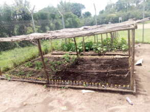 Vegetable Nursery bed at demonstration siteA