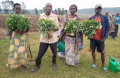 CREATE DOMESTIC LIVELIHOOD ASSETS FOR REFUGEES