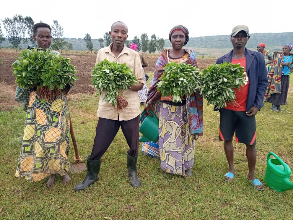 CREATE DOMESTIC LIVELIHOOD ASSETS FOR REFUGEES