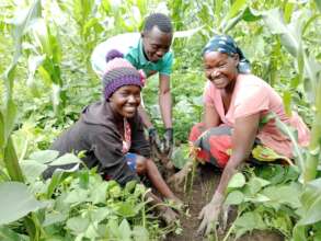 Naftally avocado tree planting in the community