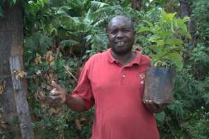David planting a tree with a purpose