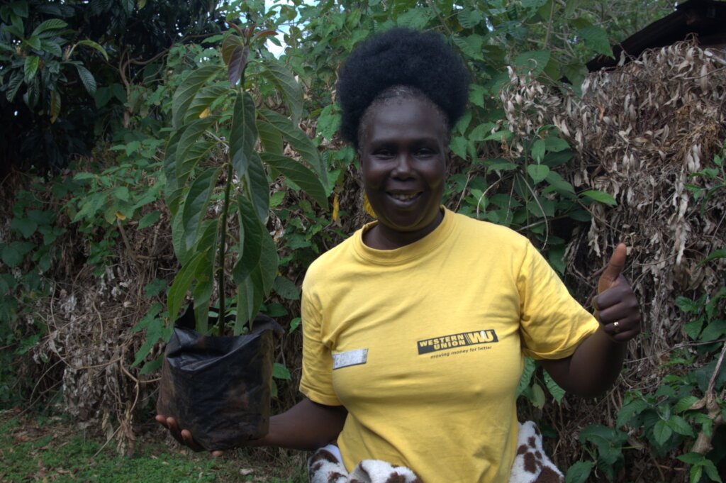 Florence receiving trees to plant