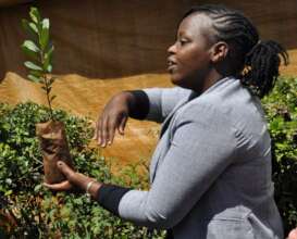 Diana Ministry of Agriculture Ambassador training