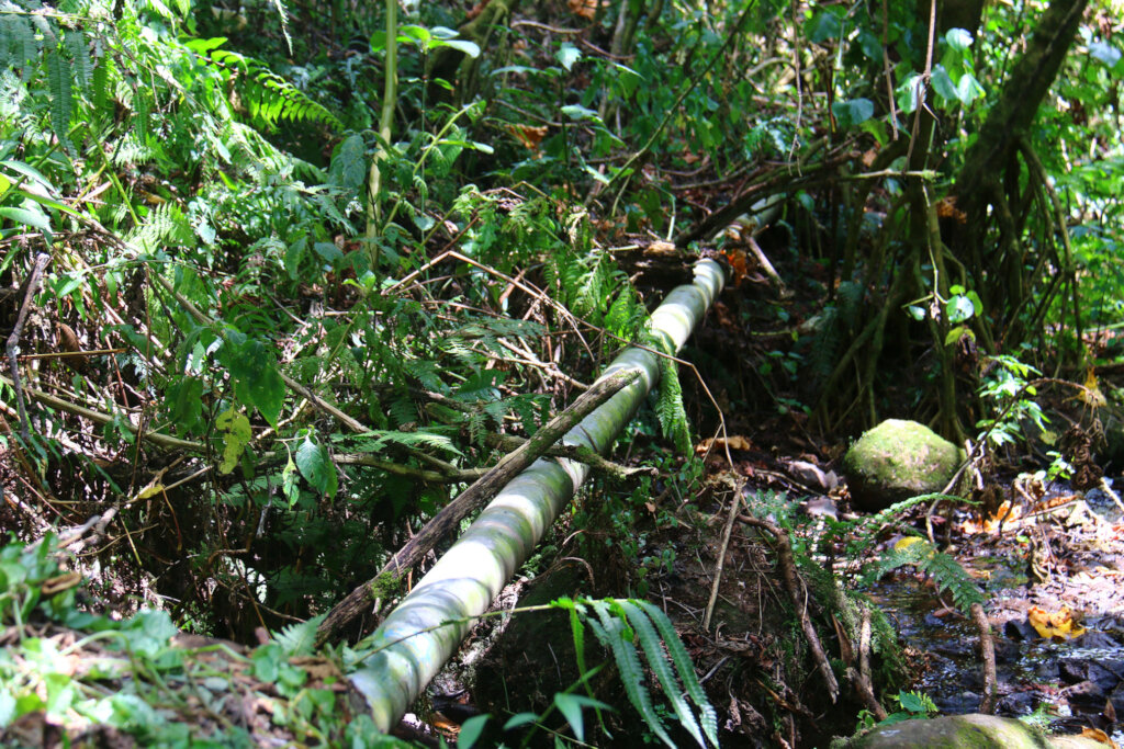 Help build resilience to Climate Crisis in Kenya