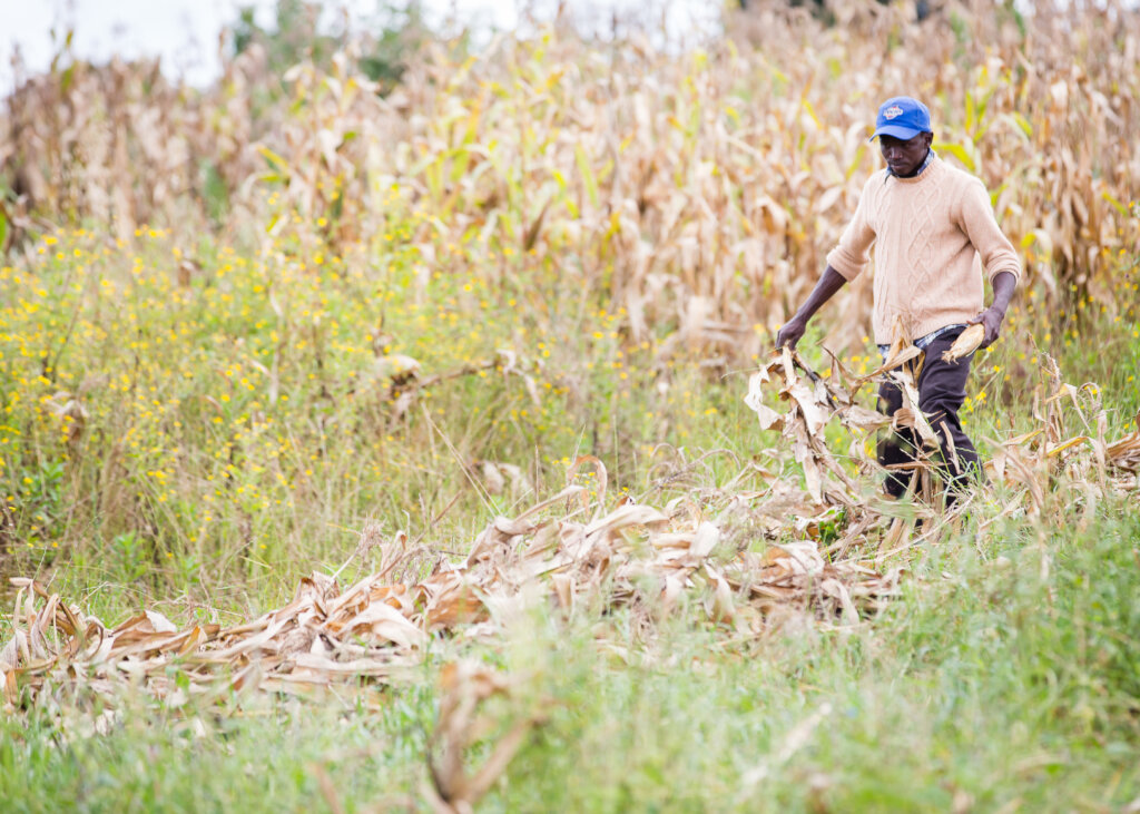 Help build resilience to Climate Crisis in Kenya