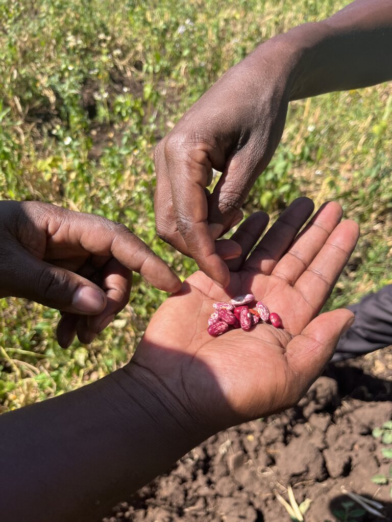 Help build resilience to Climate Crisis in Kenya