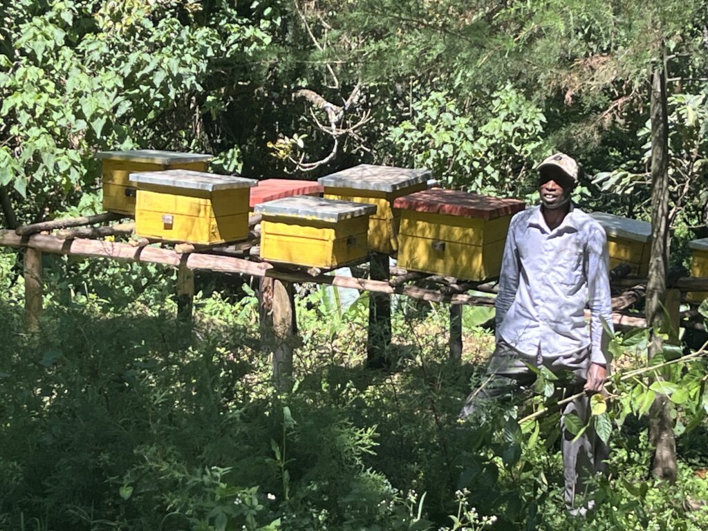 Help build resilience to Climate Crisis in Kenya