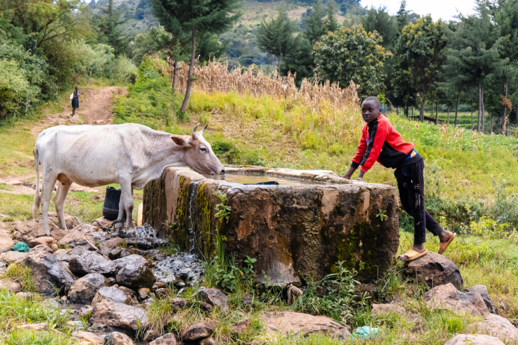 Help build resilience to Climate Crisis in Kenya