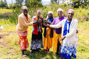 Tree Planting