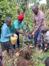 Tree Planting